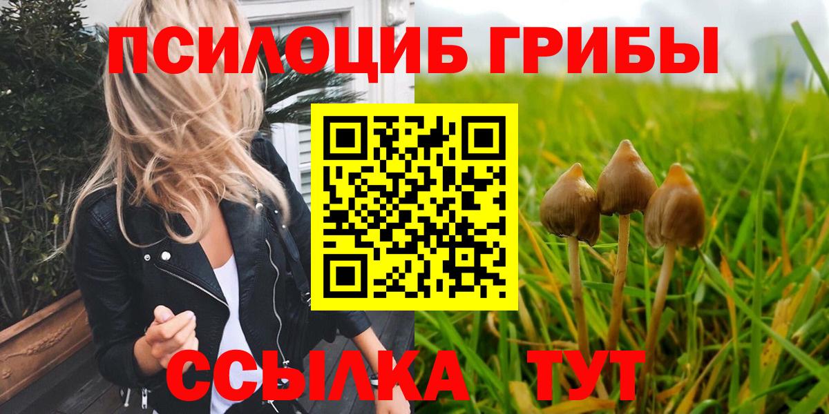 Псилоцибиновые грибы мицелий Славянск-на-Кубани