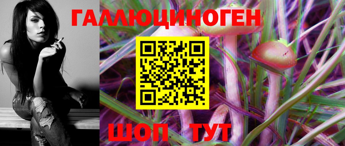 Псилоцибиновые грибы Psilocybine cubensis  Вход с VPN  Славянск-на-Кубани 